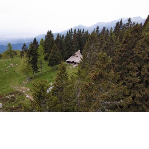Chalet Pinja - Velika planina