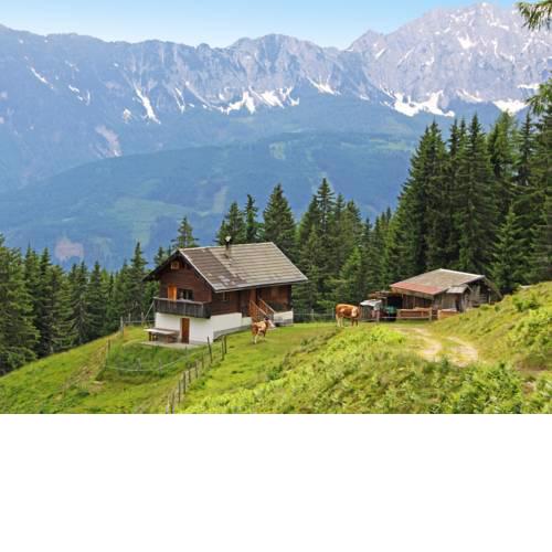 Chalet Wassertheureralm