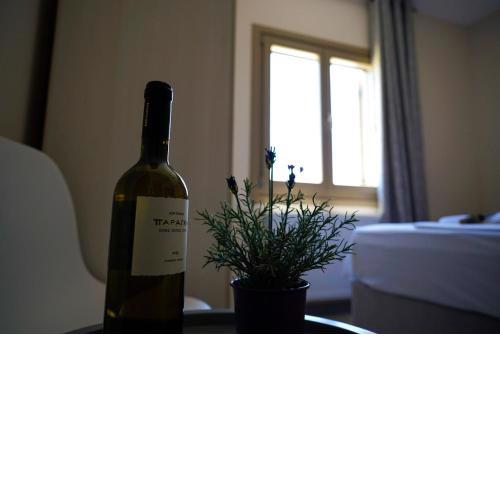 Charikleia's 2 bedroom appartment in Pelion