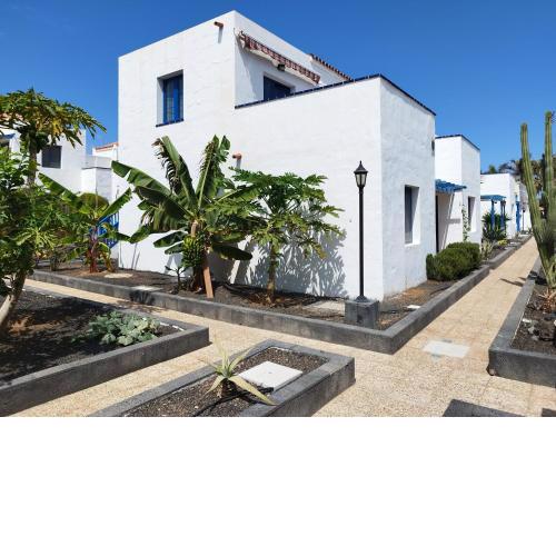 Charmant Appartement Casa Freesia Caleta avec piscine