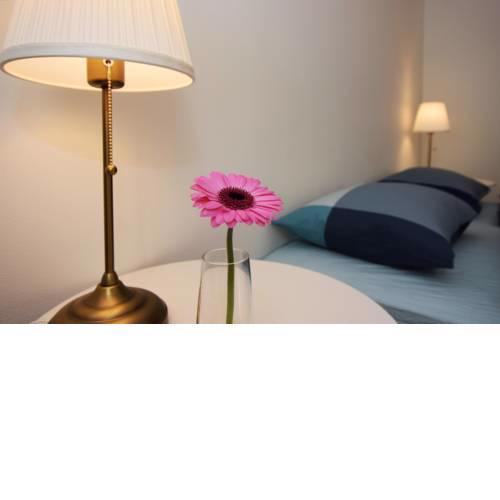 Charming Apartment Near Beautiful Park