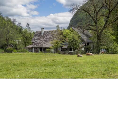Charming blacksmith`s house @ Lake Bohinj