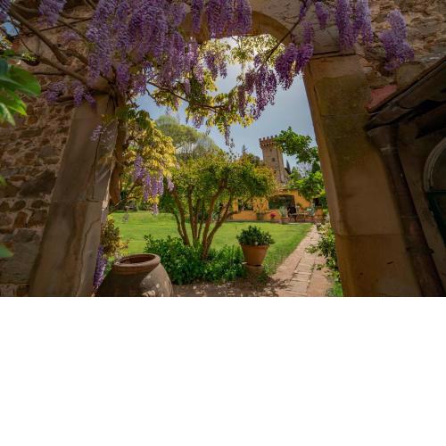 Charming cottage only for you, a hidden gem 10mn walk to historic center, stunning view