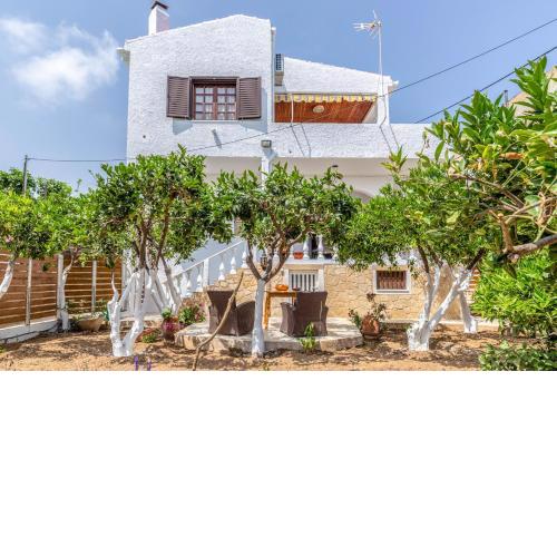 Charming Green House