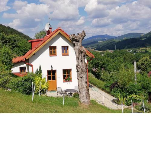 charming house with beautiful landscape