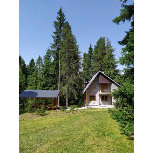 Chata Tatry