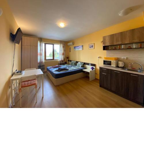 CHATEAU DEL MAR С31 Studio