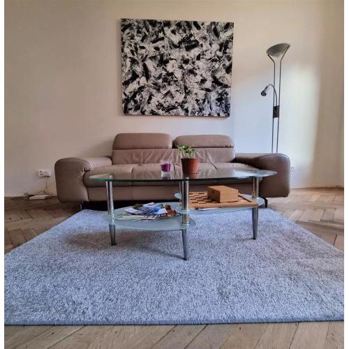 Cheb central apartment