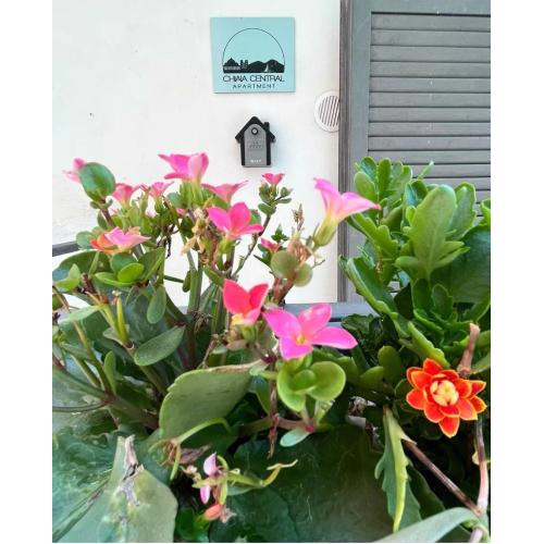 Chiaia Central Apartment Napoli
