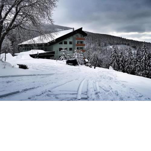 Cihlářka Apartmán 109