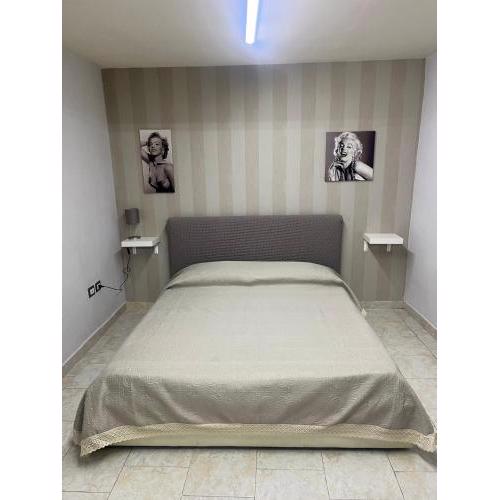 Ciro home
