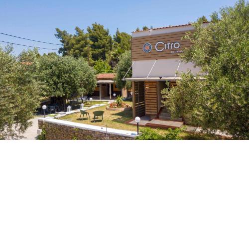 Citro by the sea