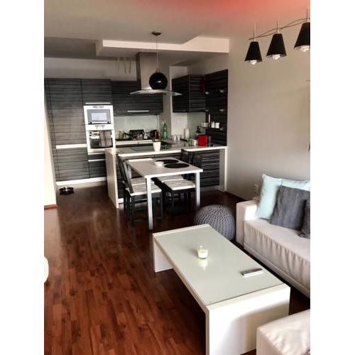 City View Luxury Apartment