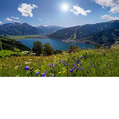 CityAppartement by Sporthotel Alpin