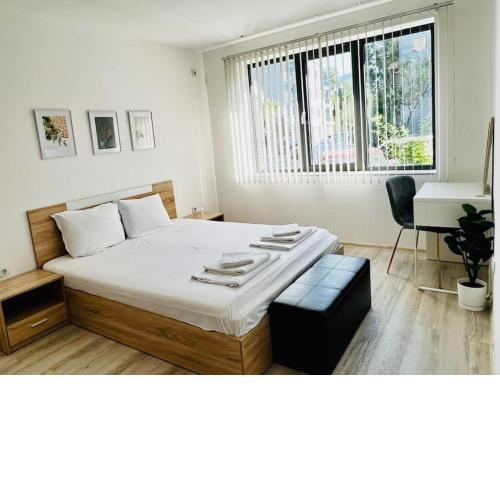 Classic Modern Apartment
