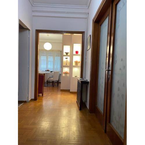 Classy spacious central appartment