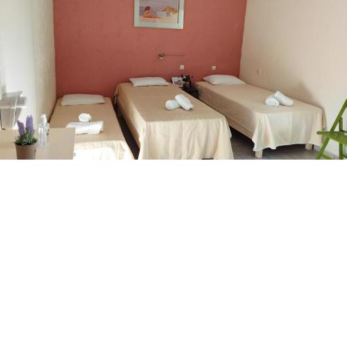 CLEO ROOM WITH YARD IN MALIA 250m FROM THE BEACH