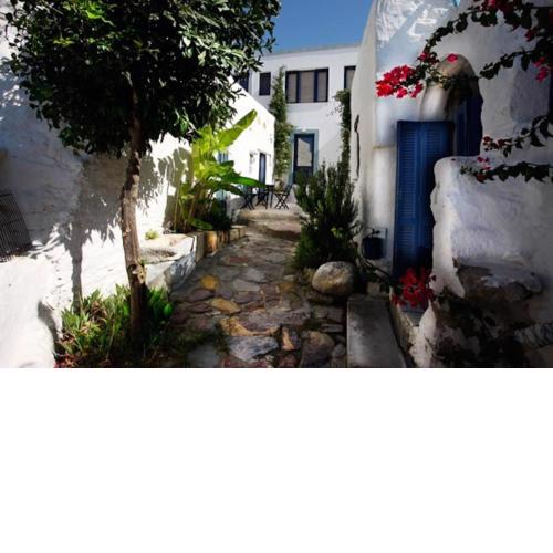 Clive and Bifi's house