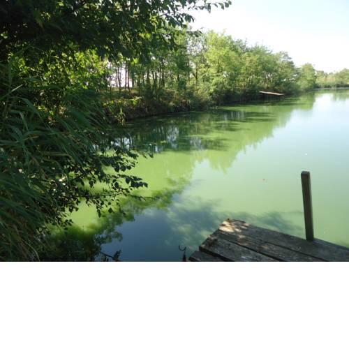 Club Haus am See