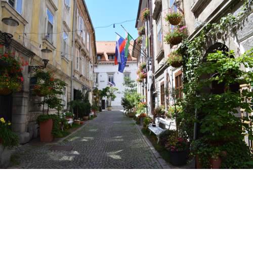 Codelli Deluxe City Centre Apartments