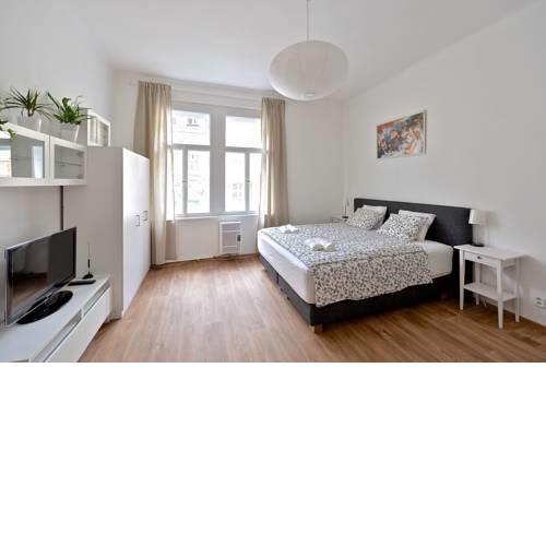 Comfort Rehorova Apartment