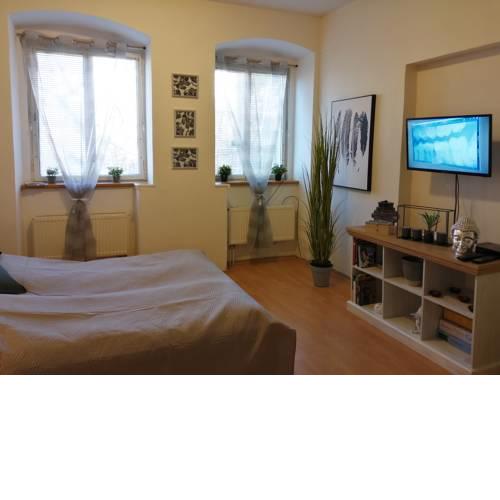 Comfort Terrace Apartment