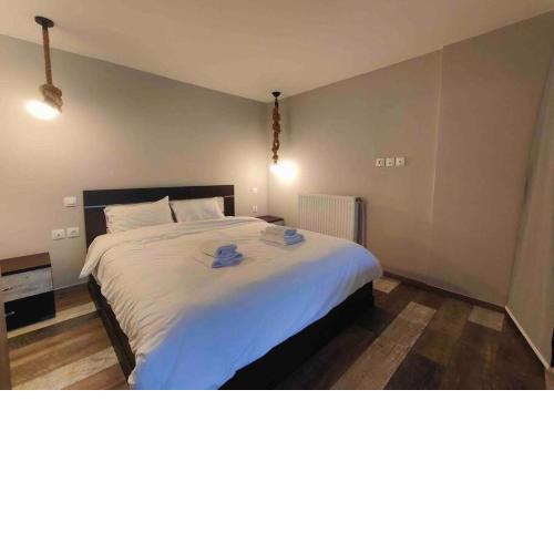 Comfortable and spacious apt. near Athens center