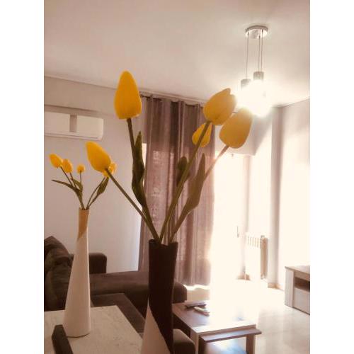 Comfortable apartment in Athens