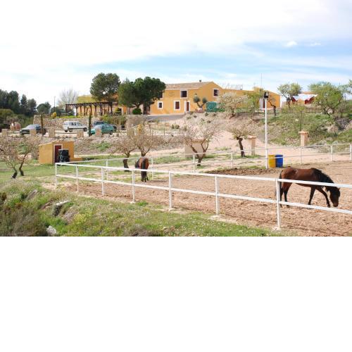 Complejo Rural Las Lomas de Biar