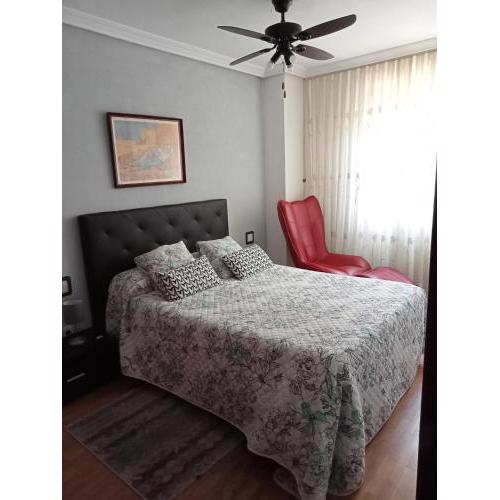 Confortable y luminoso apartamento