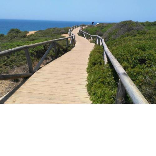 Conil paraíso