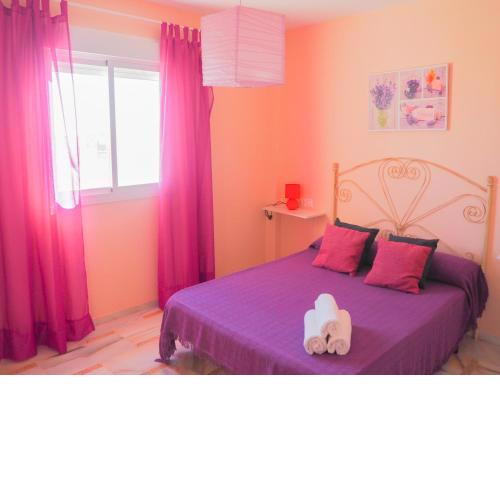 ConilPlus apartments SAN IGNACIO