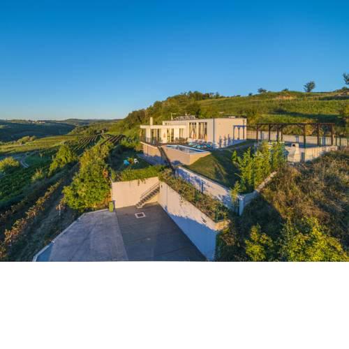 Contemporary Villa with Swimming Pool in Momjan