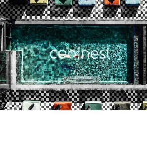 Coolnest
