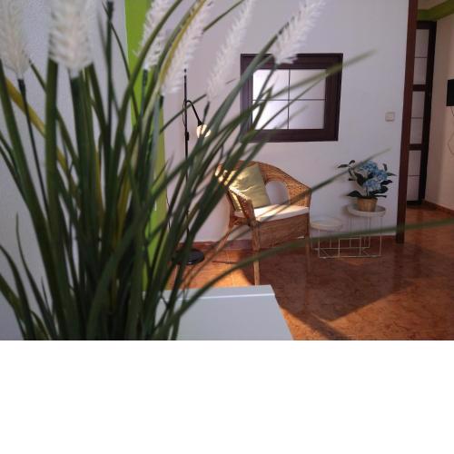Coqueto miniapartamento junto centro Torremolinos