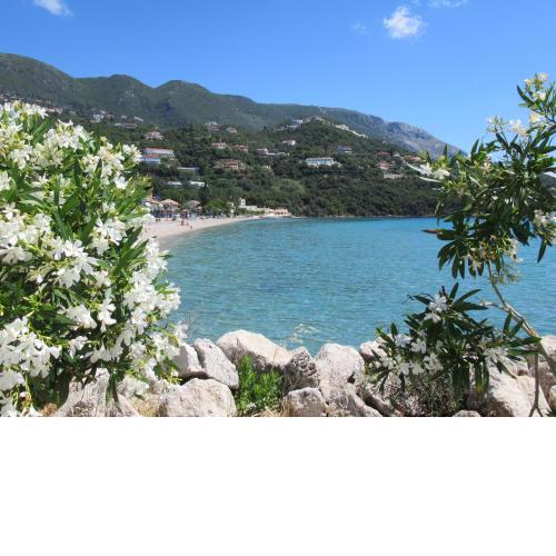 Corfu Vacation Homes