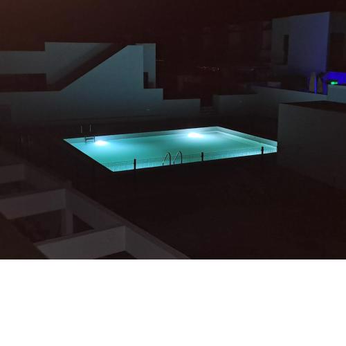 Corralejo palmeral
