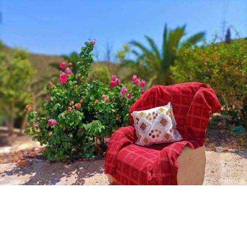 Cortijo El Algarrobo 2