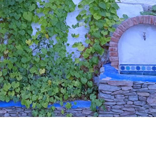 Cortijo Jazmin