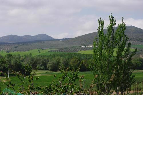 cortijo los arcos
