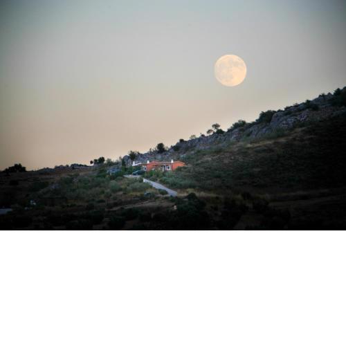 Cortijo Nuevo Alojamiento Rural