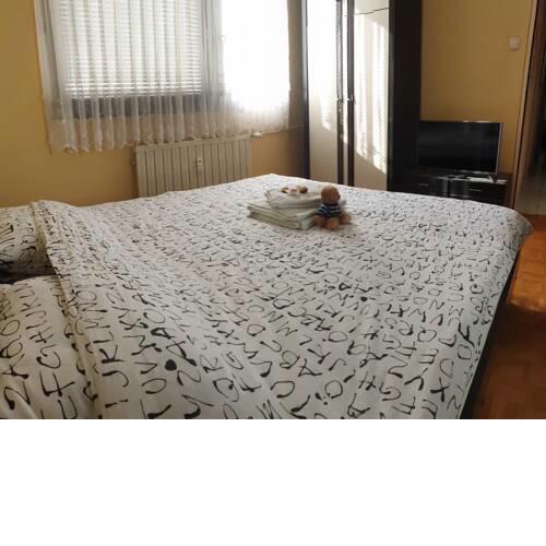 Cosy 2-bedroom apartment in center of Zrece, 13 km from Rogla