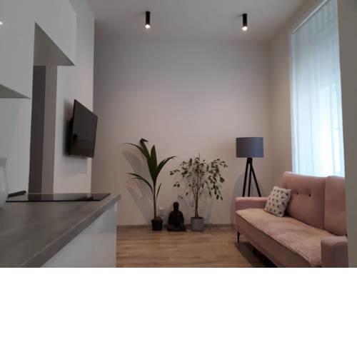 Cosy Appartment - Heart of Prague
