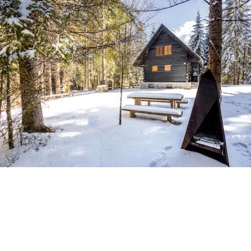 Cosy Lodge Pokljuka