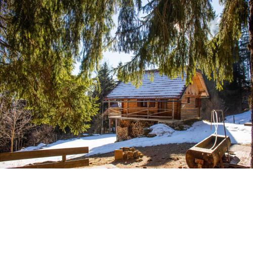 Cottage Planina Forest, 1070m altitude