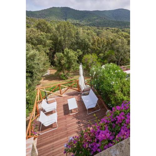 [Cottage Punta Ala] Residential Area with Pool