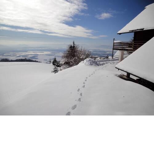 cottage Ziherl