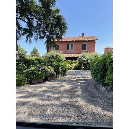 Cottages 995