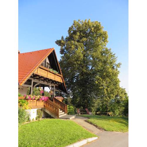Country House Apat