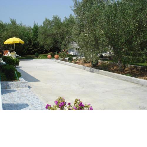 COUNTRY HOUSE IN OLIVE GROVE - Gerakini